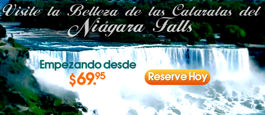 Tours de Las Cataratas de Ni�gara