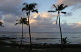6-Day Hawaii Tour Package(B)