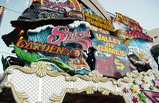 5-Day Disneyland, Las Vegas and Sea World Tour Package