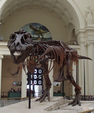 Field Museum Urban Quest in Chicago, Illinois