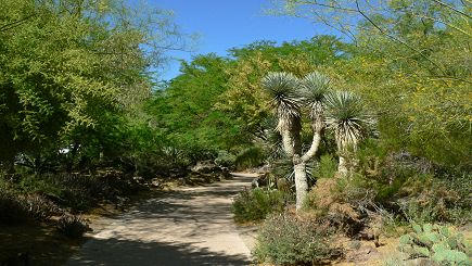 6-Day Bus Tour Package to Skywalk (Grand Canyon West), Las Vegas, Sea World, Universal Studios from Los Angeles