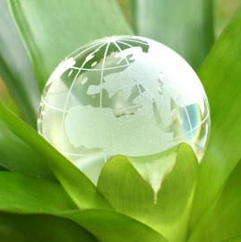 Save The Planet And Money On Eco-Friendly Package Tours