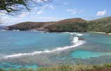 Hanauma Bay Snorkeling Tour (Limo Transfer)