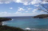 Hanauma Bay Snorkeling Tour (Van Transfer)