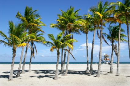 Save Money on Your Summer Vacation