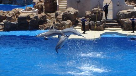 5-Day Bus Tour Package to Skywalk (Grand Canyon West), Las Vegas and Sea World from Los Angeles 5-Day Bus Tour Package to Skywalk (Grand Canyon West), Las Vegas and Sea World from Los Angeles