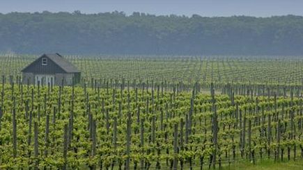 2-Day Long Island Wineries and Tanger Outlets Shopping Tour 2-Day Long Island Wineries and Tanger Outlets Shopping Tour