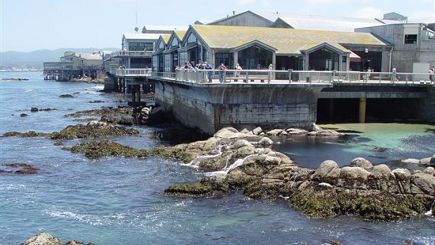 Monterey Cruiser Tour Monterey Cruiser Tour