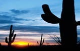 4-Day Arizona, New Mexico Bus Tour