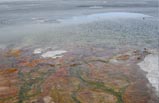 7 Days Yellowstone National Park Tour B