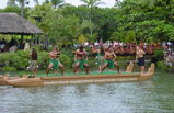 Paradise Cove Luau ( Dinner & Show) Tour