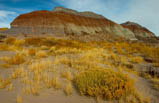Petrified Forest, Painted Desert & Meteor Crater Sedona Tour