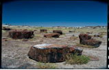 Petrified Forest/Painted Desert/Meteor Crater Tour