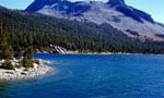 Reno - Lake Tahoe - Sequoia 4 Days Tour