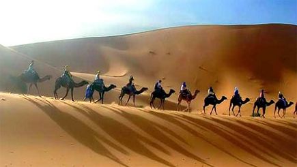 12-Day LUXURY Tour of India from Delhi - Royal Rajasthan