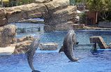 7 Day South California 3 Theme Parks , Grand Canyon Essence Tour Package