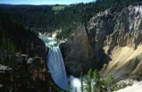 7 Days Yellowstone National Park, Mt. Rushmore Bus Tour B