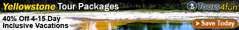 Discover Yellowstone's Wonders Fun Tours just for $323.