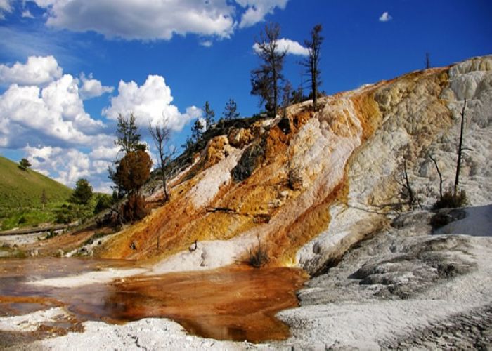 7-Day Yellowstone, Grand Teton, Mt. Rushmore & Arches National Park Tour from Denver (with airport transfer) (1 Night in Canyon Lodge) 7-Day Yellowstone, Grand Teton, Mt. Rushmore & Arches National Park Tour from Denver (with airport transfer) (1 Night in Canyon Lodge)