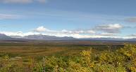 Anchorage Tours