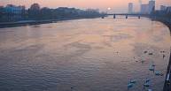 Main River Cruises