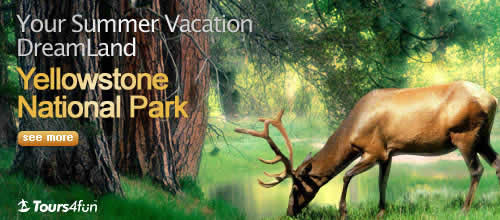 yellowstonepromotion.html yellowstonepromotion.html