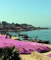 tours, travel