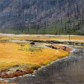 tours, travel