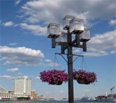Pic of Baltimore