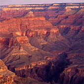 Grand Canyon Picture