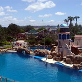 Sea World San Diego Picture
