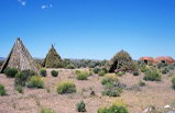 West Rim Indian Bus Tour