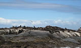 Southern Africa Tours