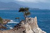 17 mile drive