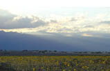 NEW TOUR 7 Days Death Valley, Grand Canyon, Las Vegas, Los Angeles, & Mexico