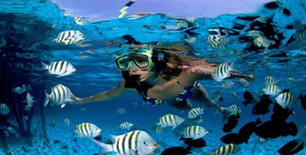 Explore the Caribbean Sea and take an underwater snorkeling adventure in Mexico!