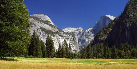 Here's your chance to get the best of Yosemite in one day, the golden wonder of California that represents ecological diversity in its truest form - Yosemite National Park.