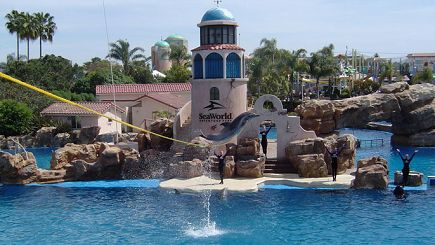 6-Day Bus Tour Package to Grand Canyon South, Las Vegas, Sea World, Universal Studios from Los Angeles 6-Day Bus Tour Package to Grand Canyon South, Las Vegas, Sea World, Universal Studios from Los Angeles