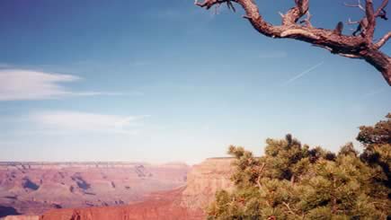 6-Day Bus Tour Package to Grand Canyon South, Las Vegas, Disneyland, Universal Studios from Los Angeles