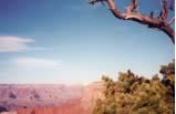 6-Day Grand Canyon South, Las Vegas and Theme Parks Bus Tour Package