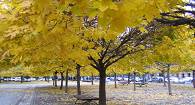 Central & Eastern Europe Tours