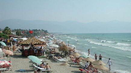 1 D�a Playas de California Tour