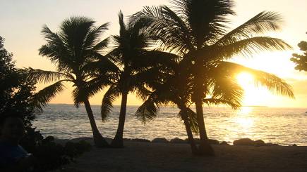 Miami Shuttle - Round trip Miami Shuttle - Round trip
