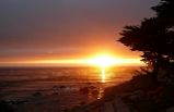 Monterey, Carmel & 17-Mile Drive Tour