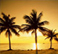 Florida Tours