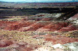 5 Days Petrified Forest, Lake Powell, Sedona, Bryce Canyon Tour Package