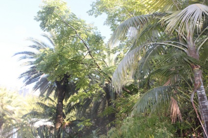 Sightseeing Tours, Travel Packages and Day Trips from Tours4Fun.com