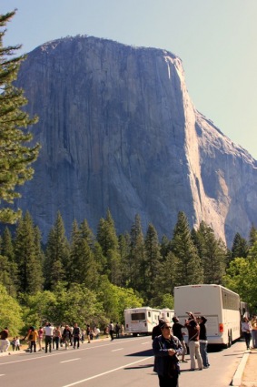 Sightseeing Tours, Travel Packages and Day Trips from Tours4Fun.com