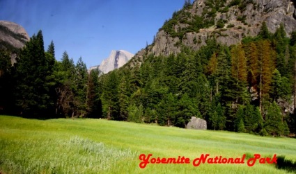 Sightseeing Tours, Travel Packages and Day Trips from findmeetgo.com