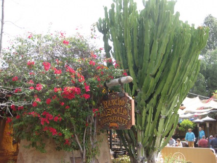 Sightseeing Tours, Travel Packages and Day Trips from Tours4Fun.com